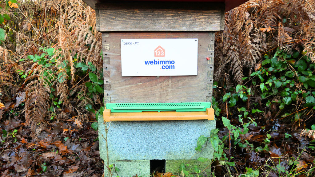La ruche 123webimmo Trégor