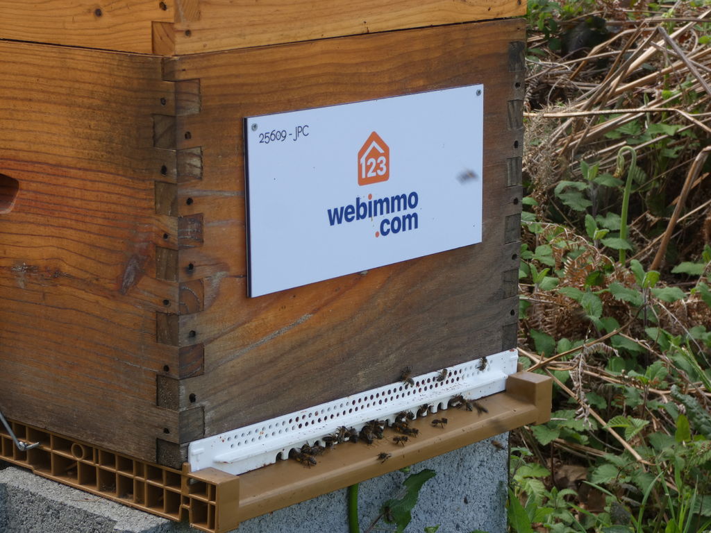 La ruche 123webimmo Trégor