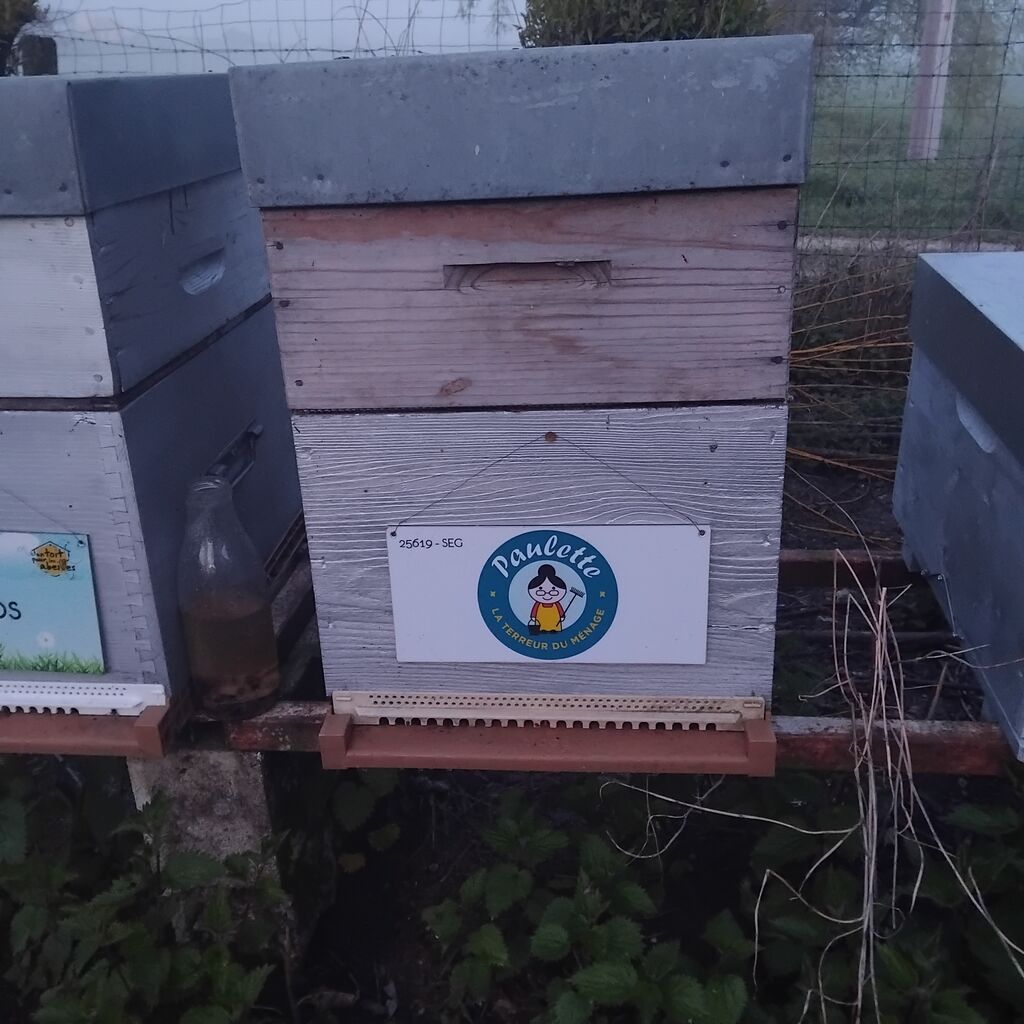 La ruche Paulette