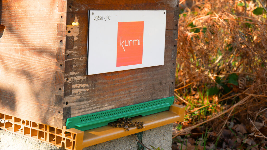 La ruche Kurmi software