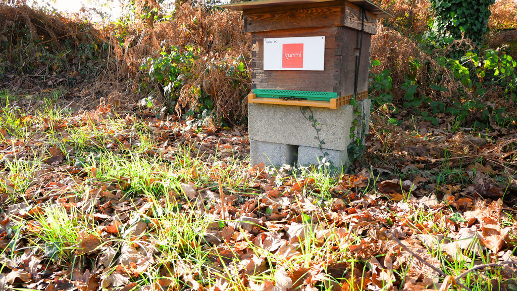 La ruche Kurmi software