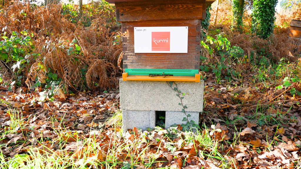 La ruche Kurmi software