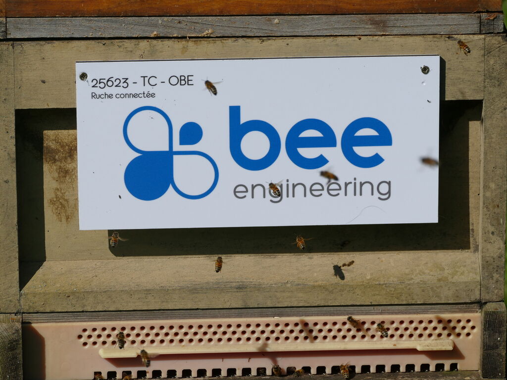 La ruche Bee engineering