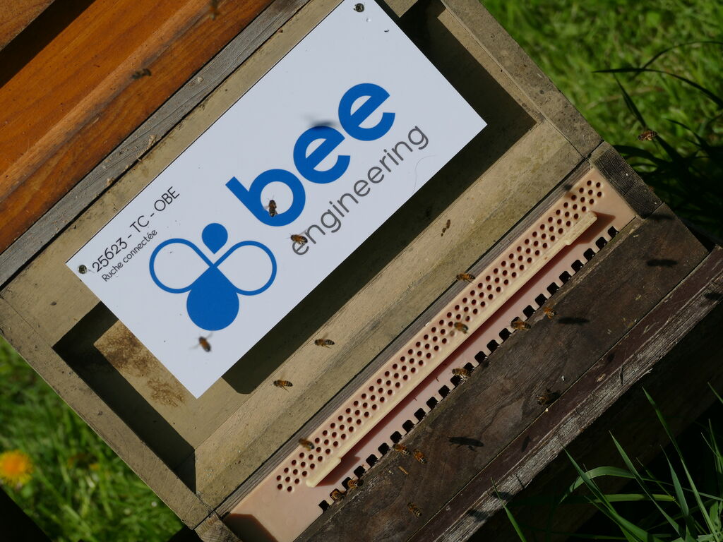 La ruche Bee engineering