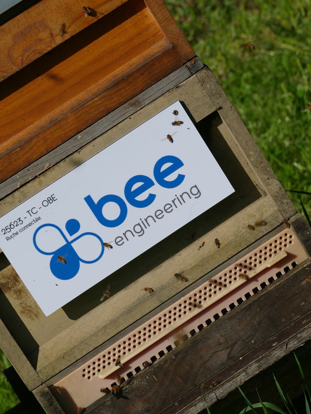 La ruche Bee engineering