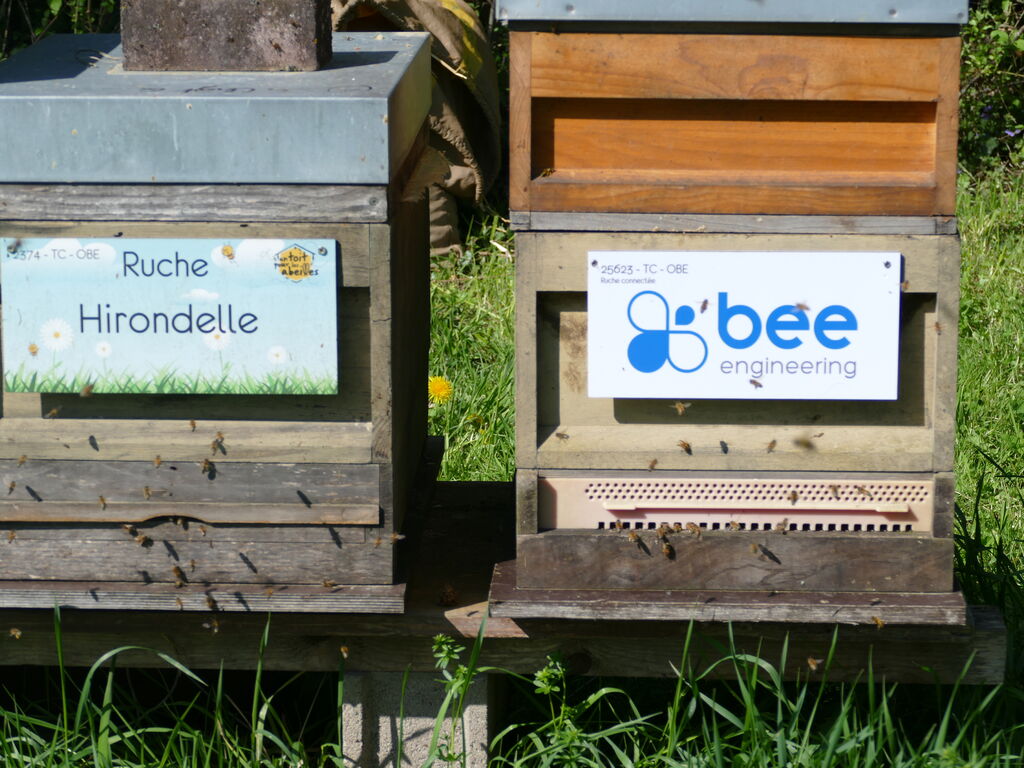 La ruche Bee engineering