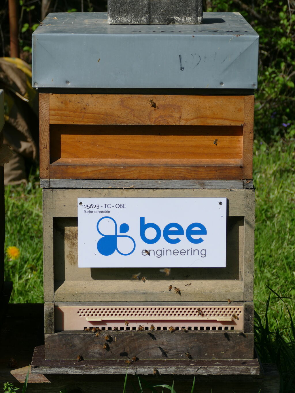 La ruche Bee engineering