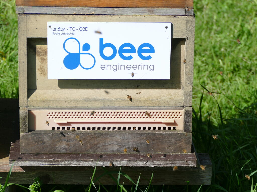 La ruche Bee engineering