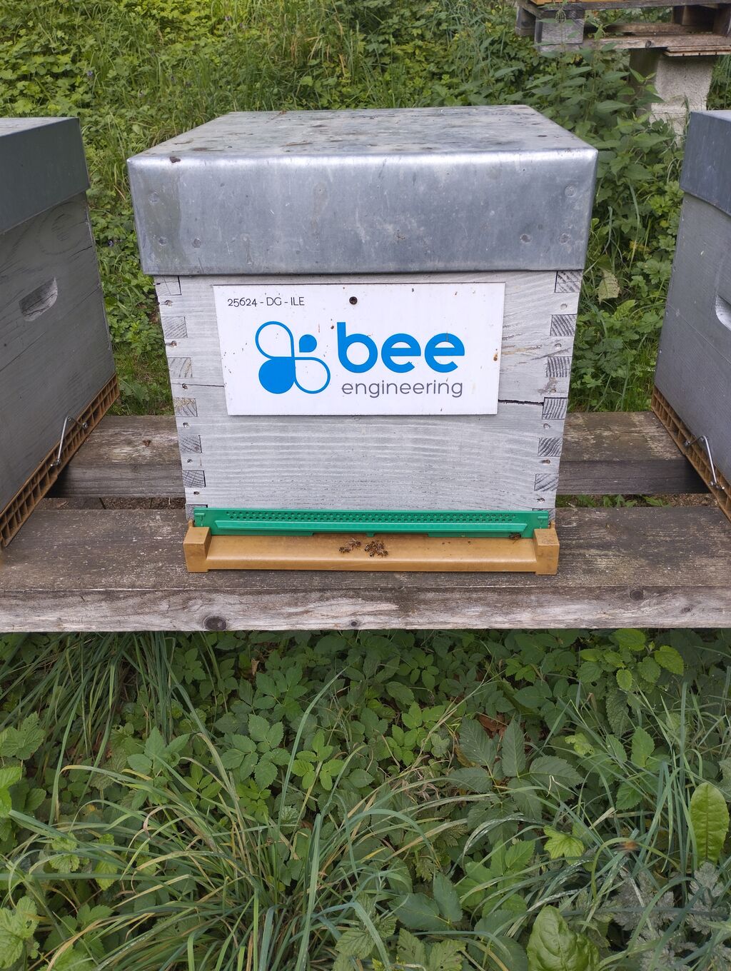 La ruche Bee engineering