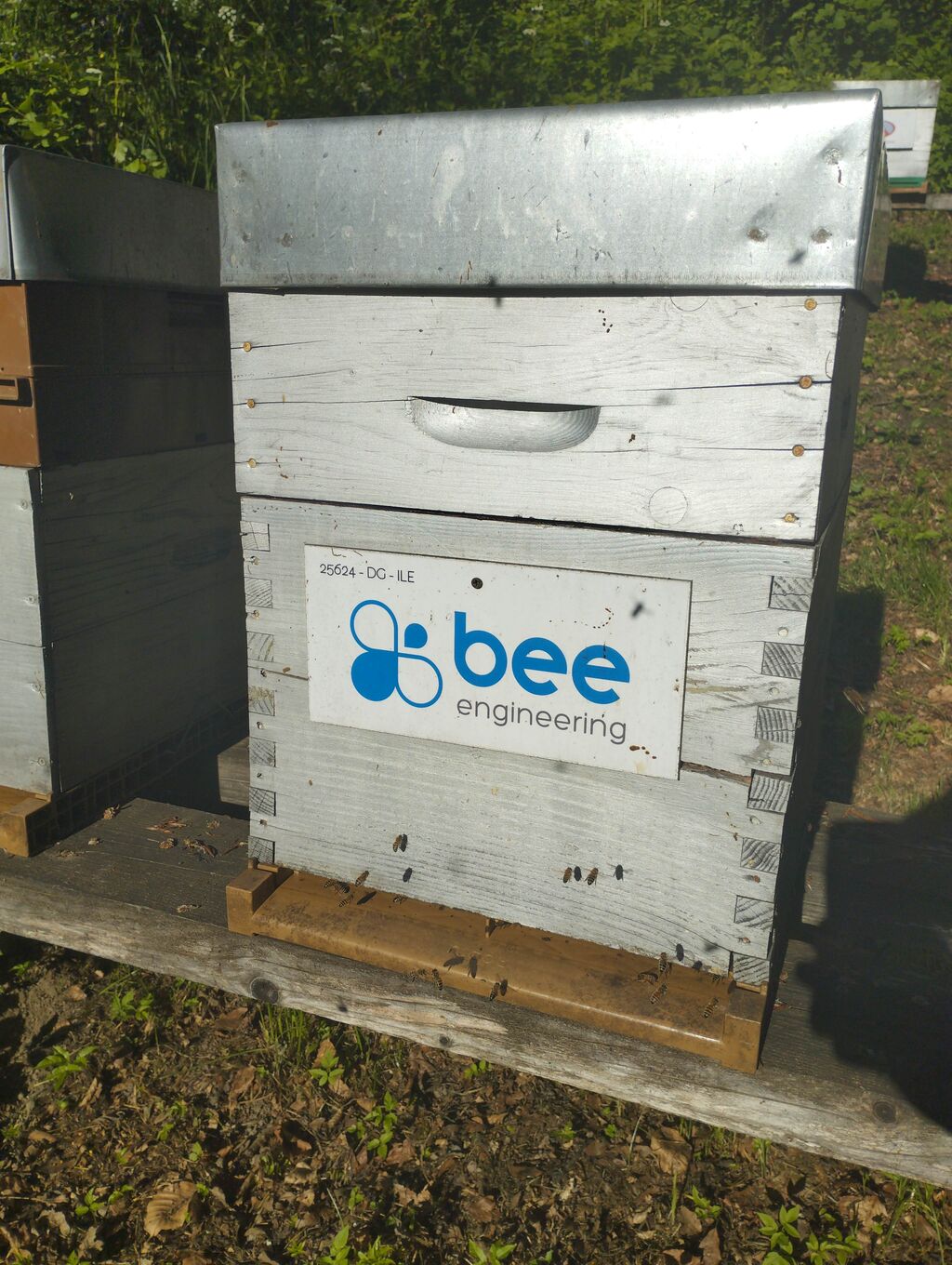 La ruche Bee engineering