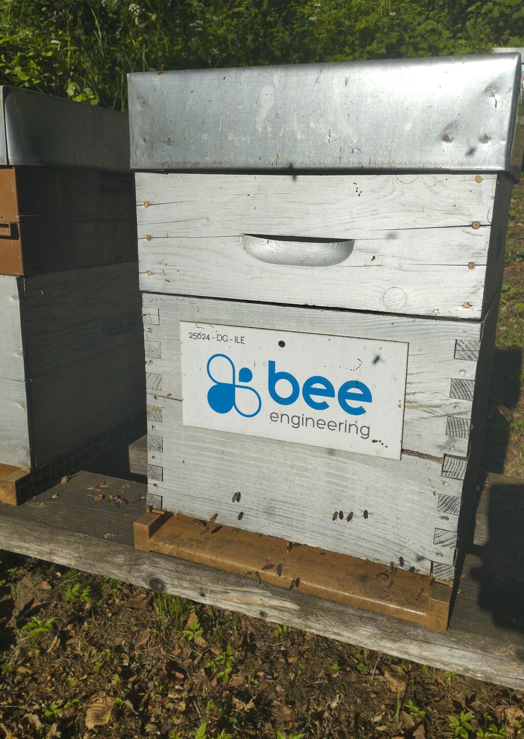 La ruche Bee engineering