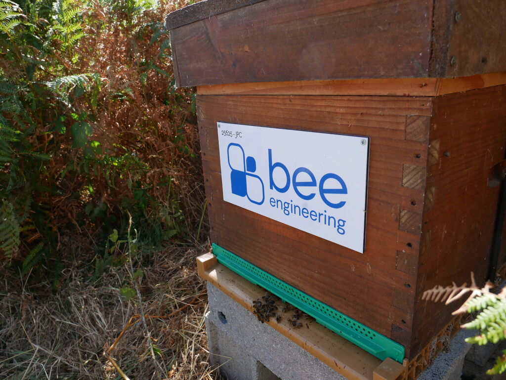 La ruche Bee engineering