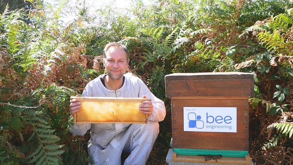 La ruche Bee engineering