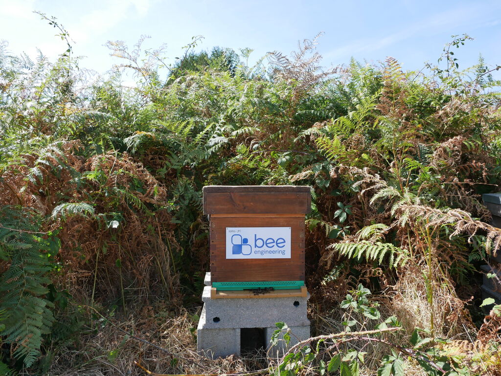 La ruche Bee engineering