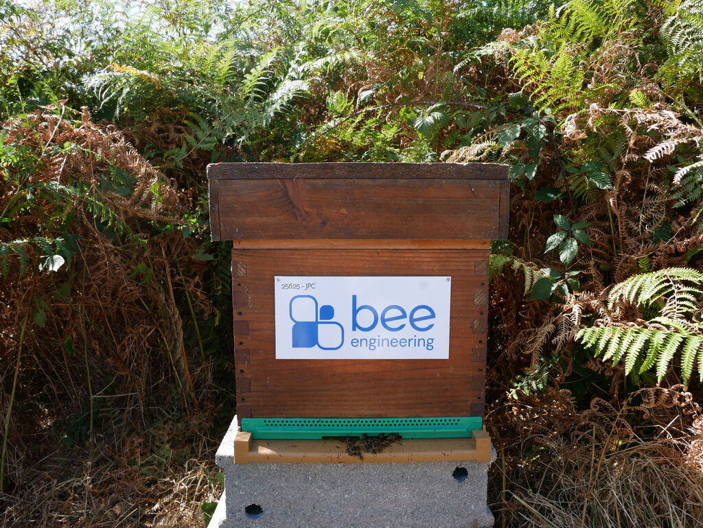 La ruche Bee engineering