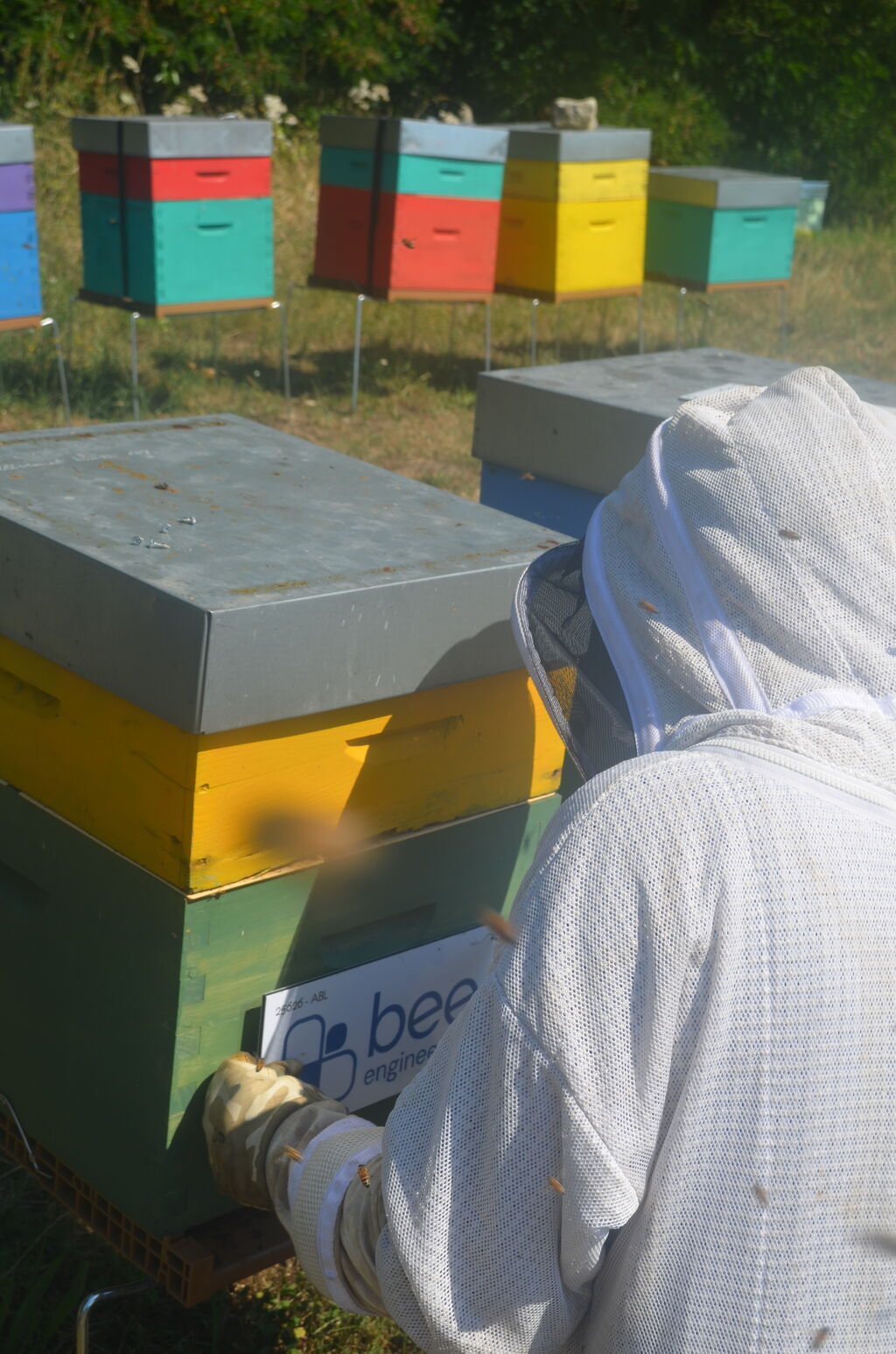 La ruche Bee engineering