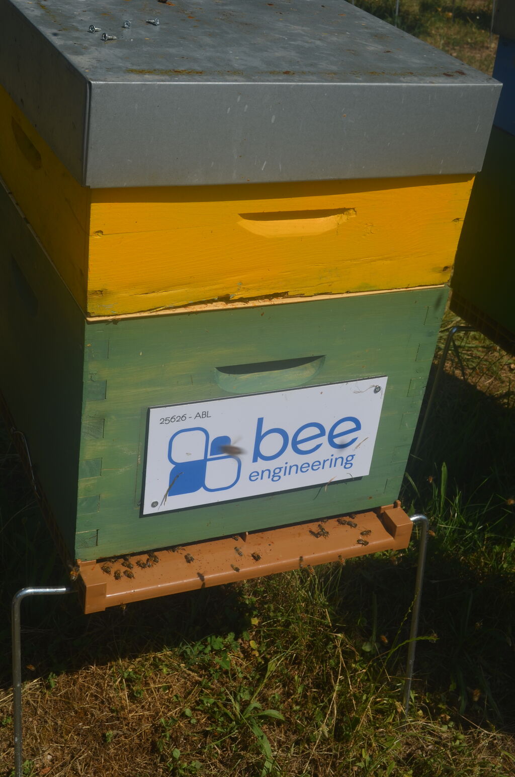 La ruche Bee engineering