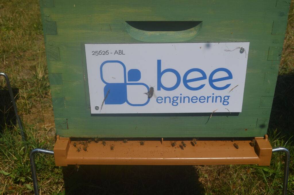 La ruche Bee engineering