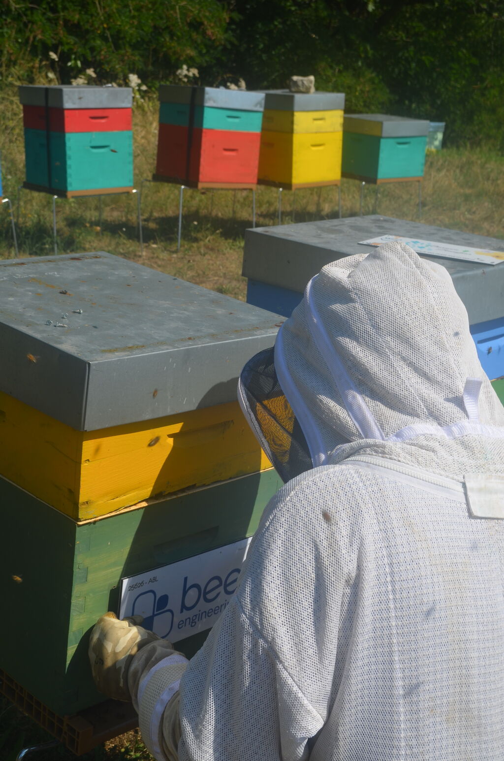 La ruche Bee engineering