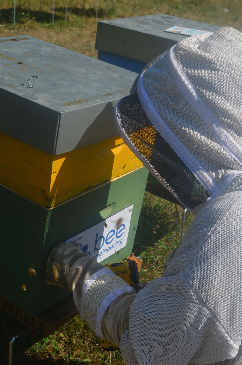 La ruche Bee engineering