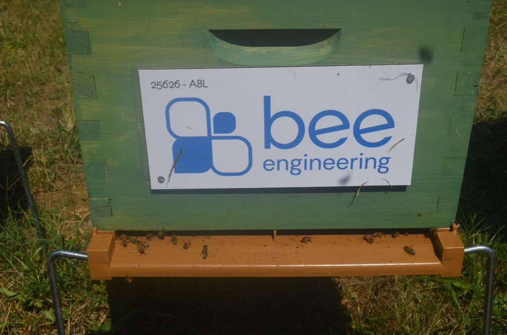 La ruche Bee engineering