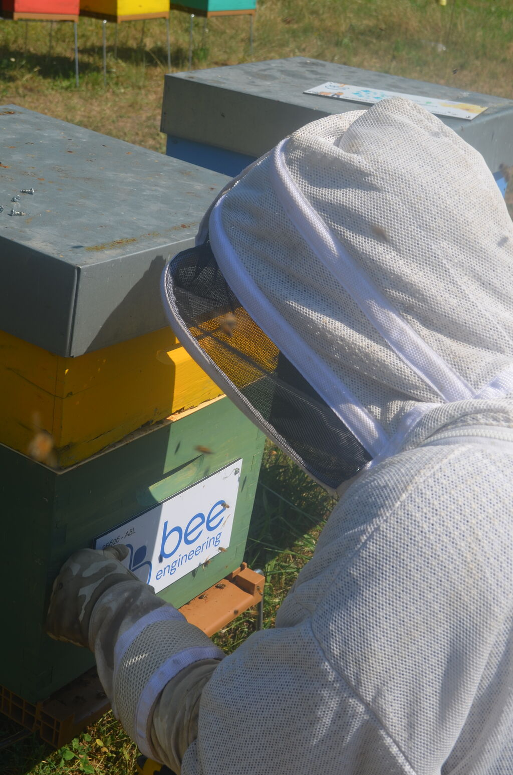 La ruche Bee engineering