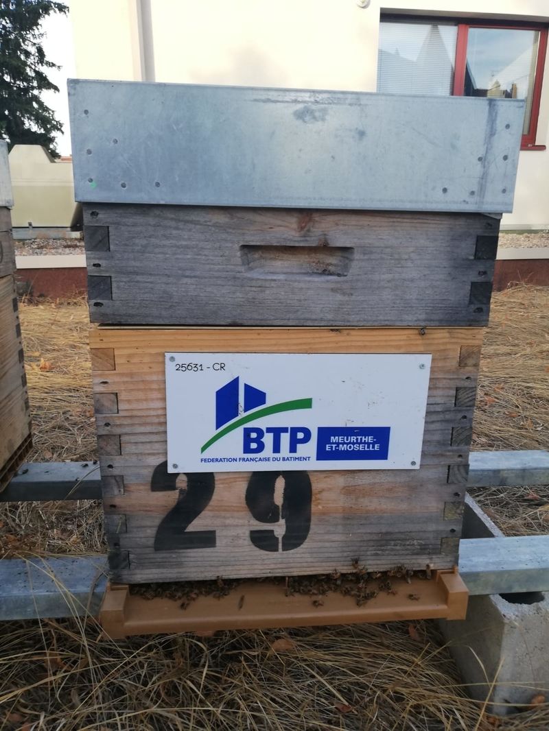La ruche Fédération du BTP de Meurthe-et-Moselle