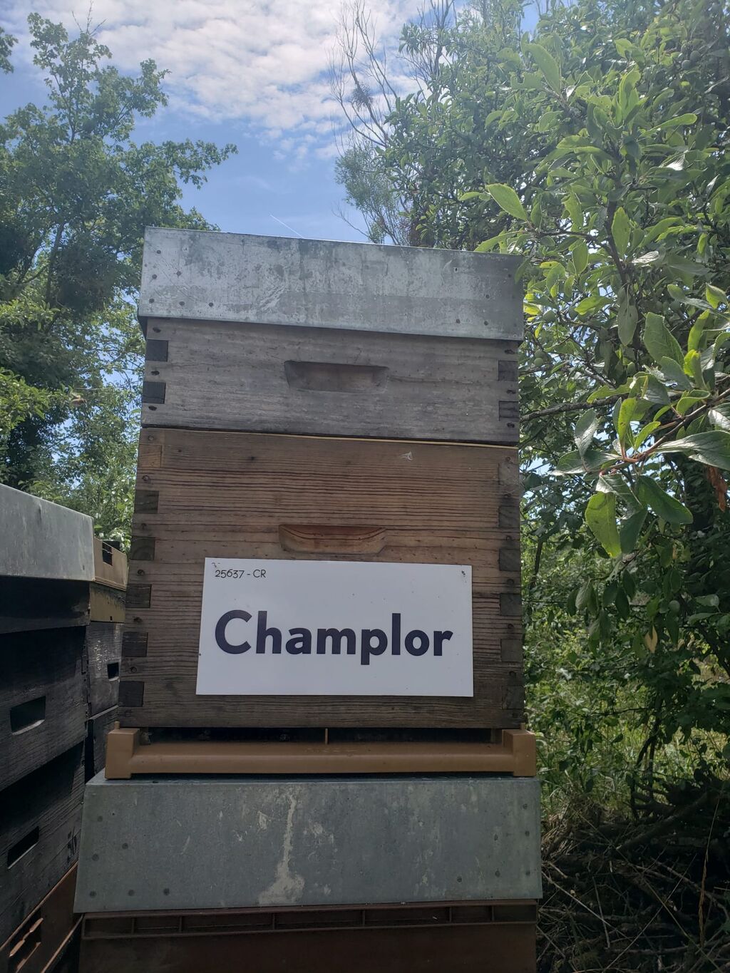La ruche Valtris Champlor