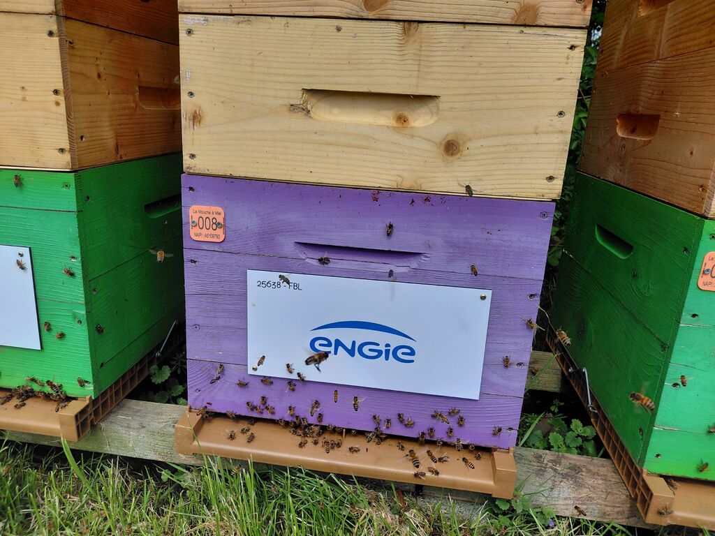 La ruche ENGIE - MPPA