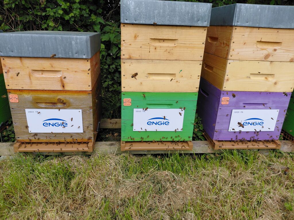 La ruche ENGIE - MPPA