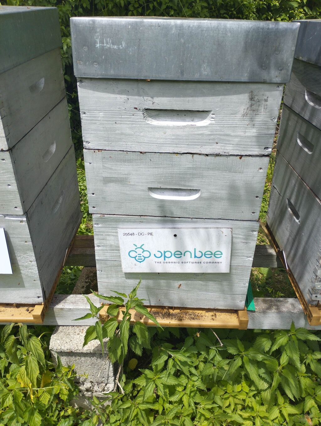 La ruche OPEN BEE FRANCE