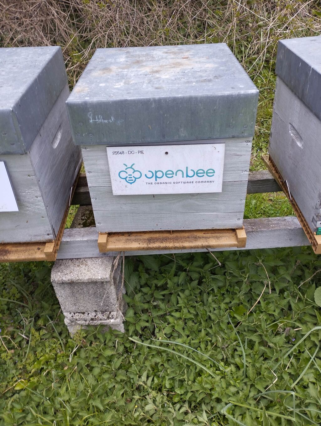 La ruche OPEN BEE FRANCE