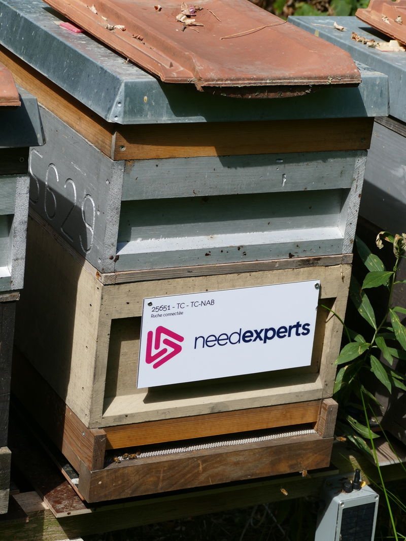 La ruche NEEDEXPERTS