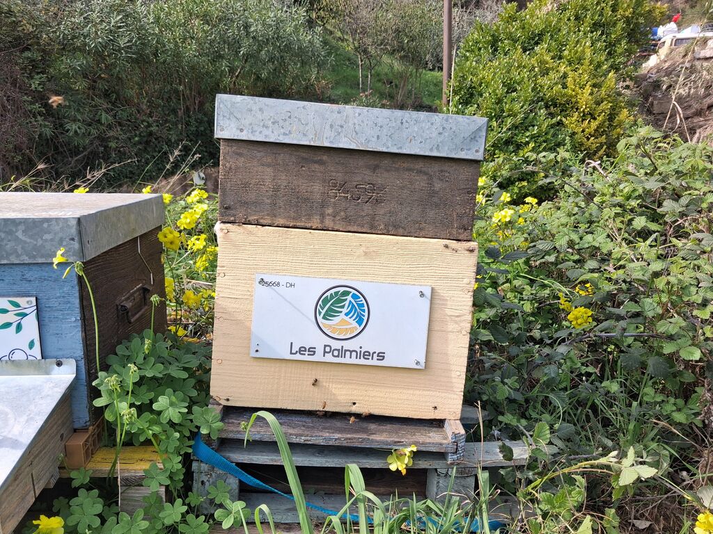 La ruche HOTEL LES PALMIERS