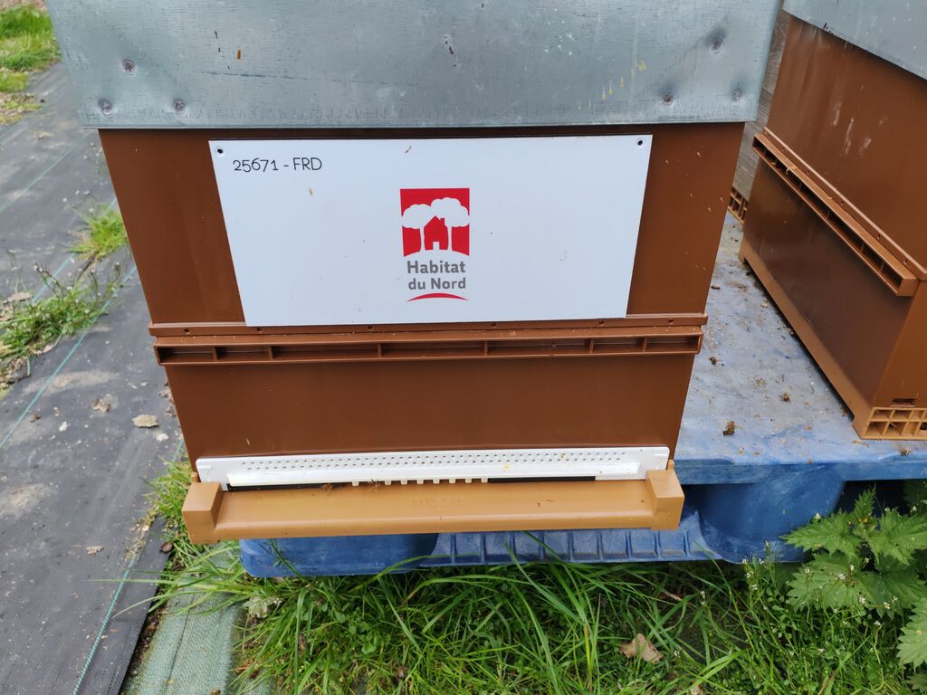 La ruche Habitat du nord