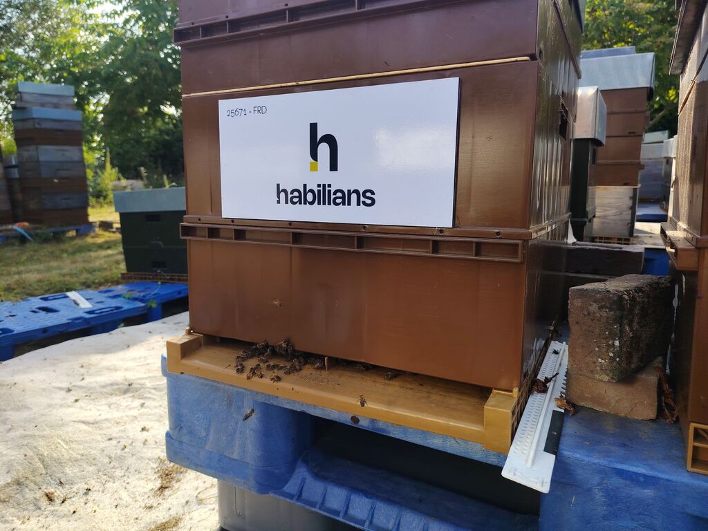 La ruche Habilians