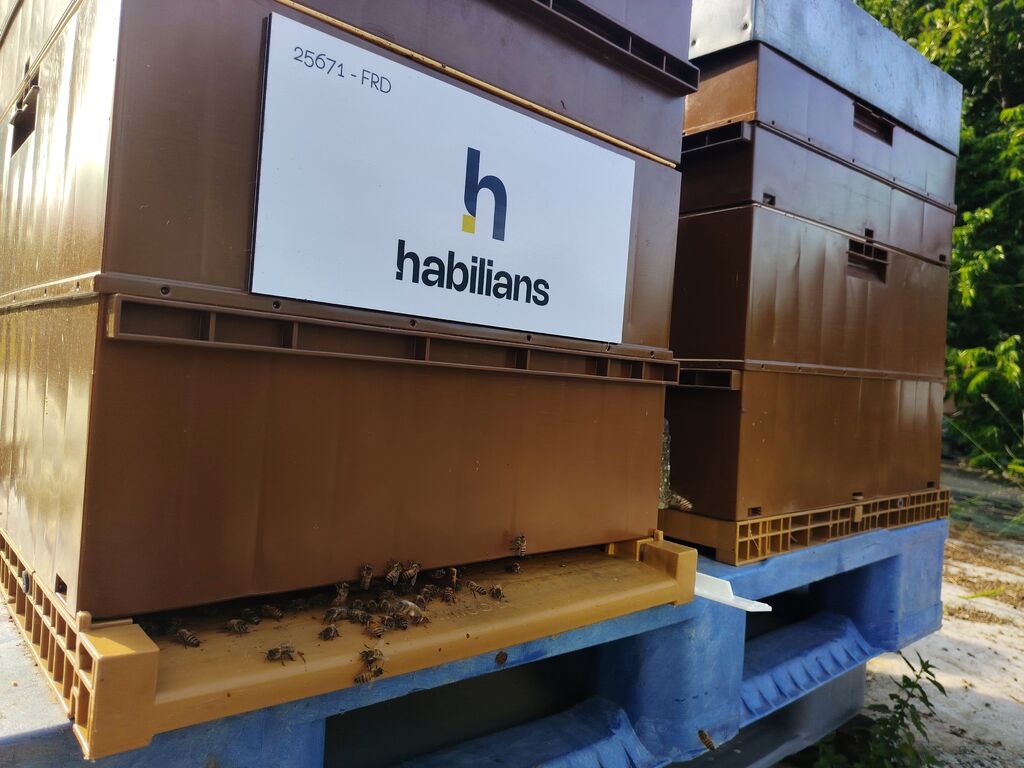 La ruche Habilians