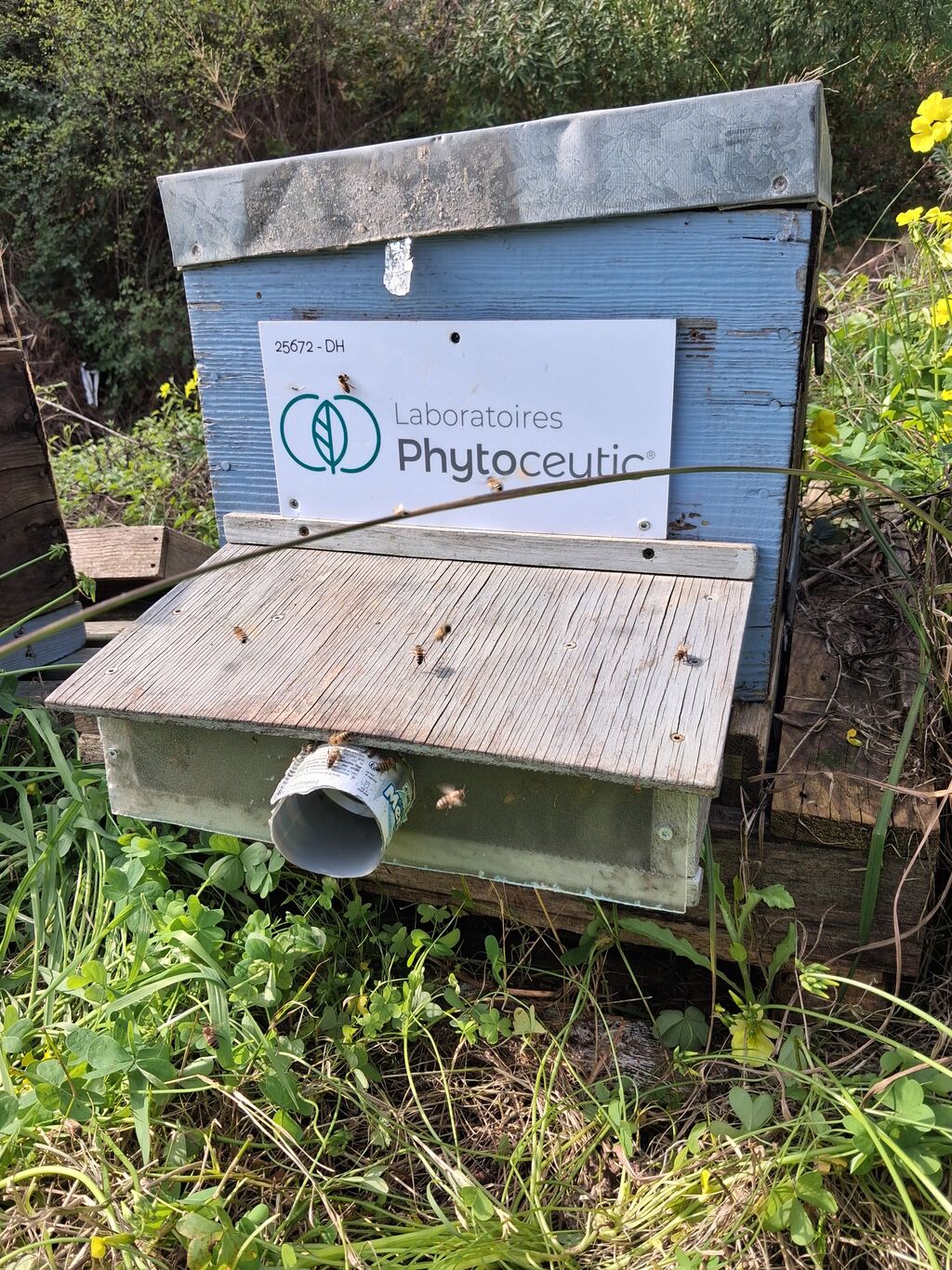 La ruche Laboratoires PHYTOCEUTIC