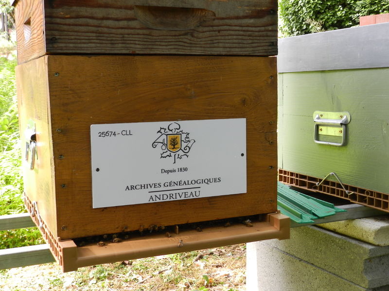 La ruche Archives Généalogiques Andriveau Poitiers