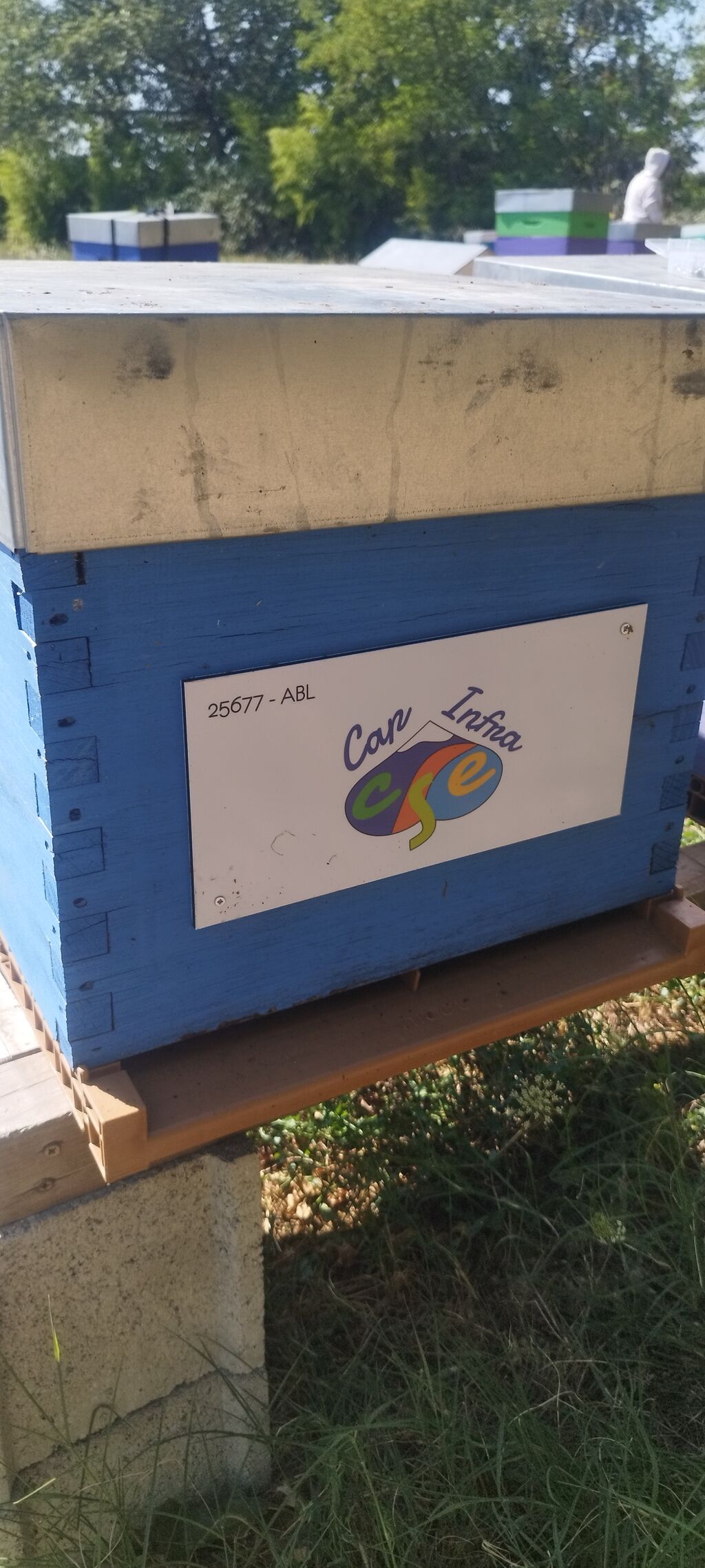 La ruche CSE INFRA CAPGEMINI