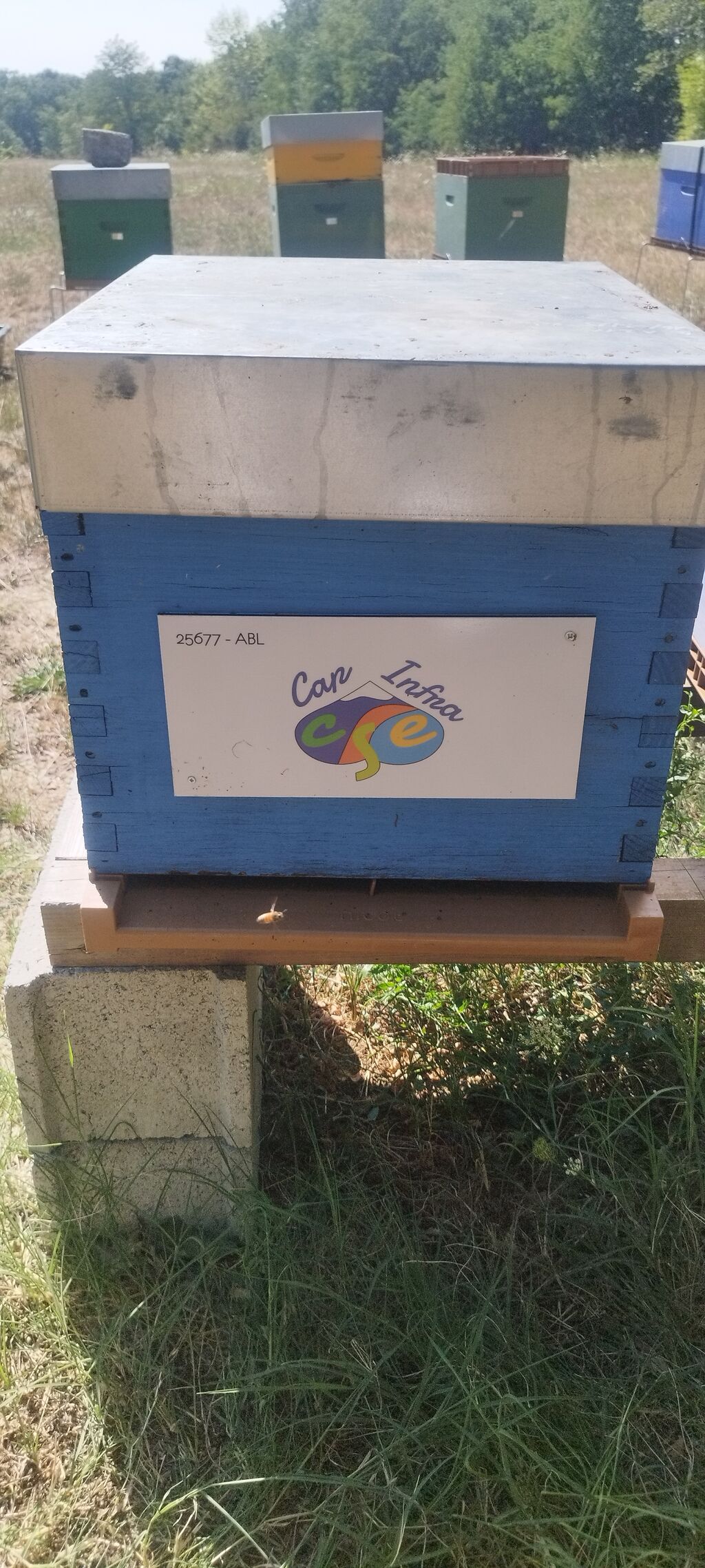 La ruche CSE INFRA CAPGEMINI