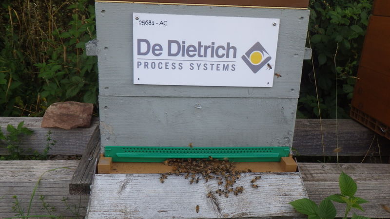 La ruche De Dietrich Process Systems
