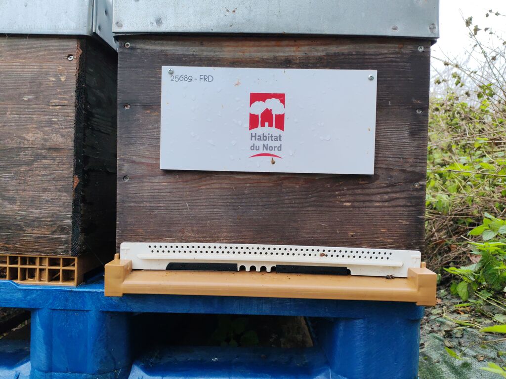La ruche Habitat du nord