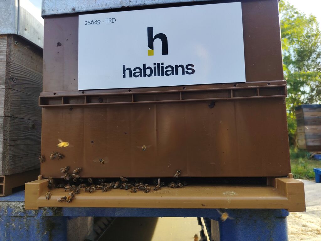 La ruche Habilians