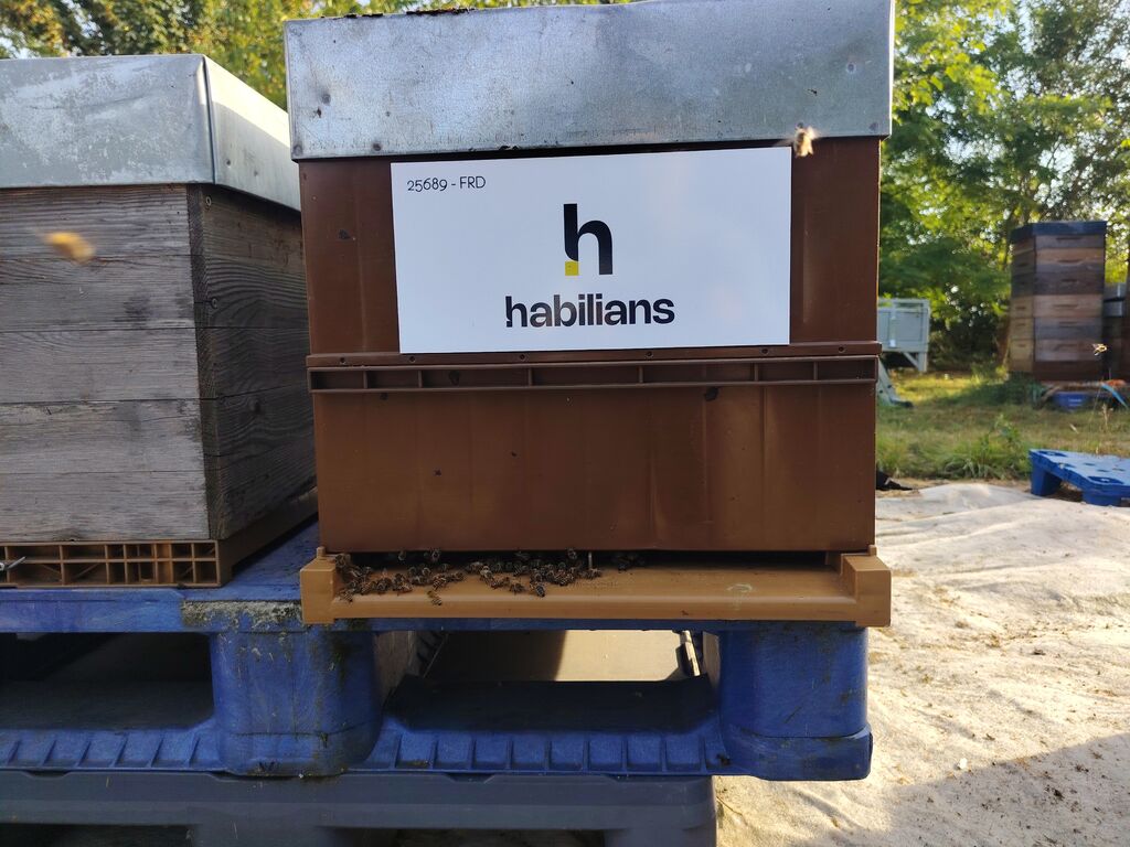 La ruche Habilians