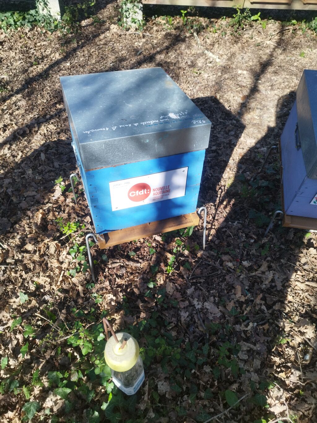 La ruche Uri CFDT Nouvelle Aquitaine