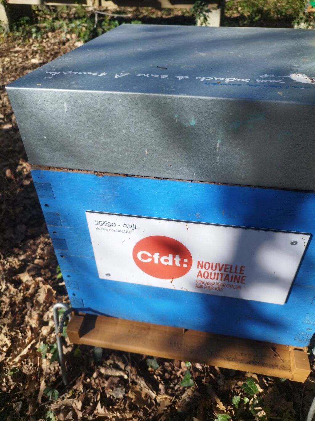 La ruche Uri CFDT Nouvelle Aquitaine