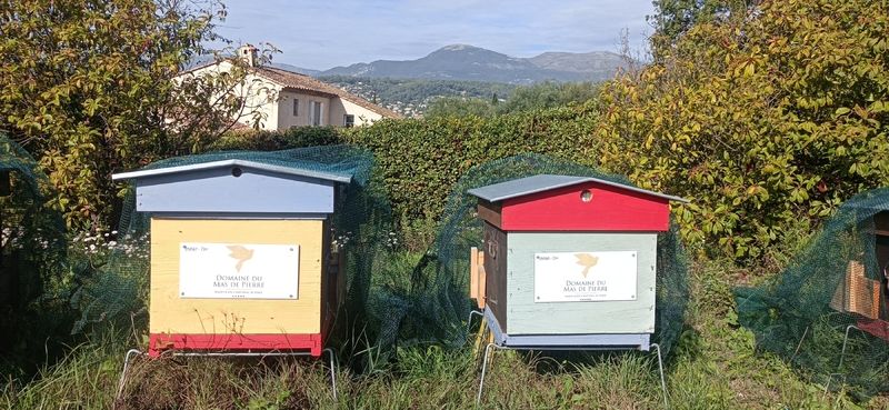 La ruche Le Domaine du Mas de Pierre ***** 