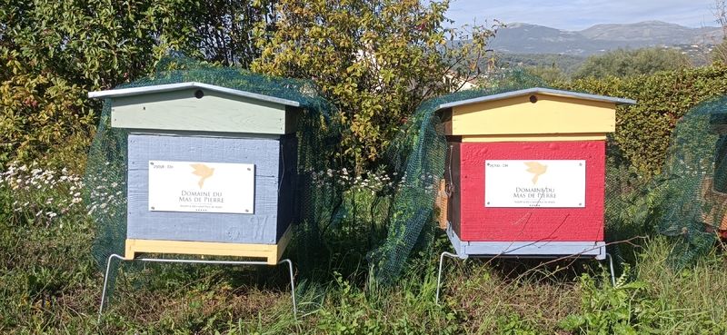 La ruche Le Domaine du Mas de Pierre ***** 