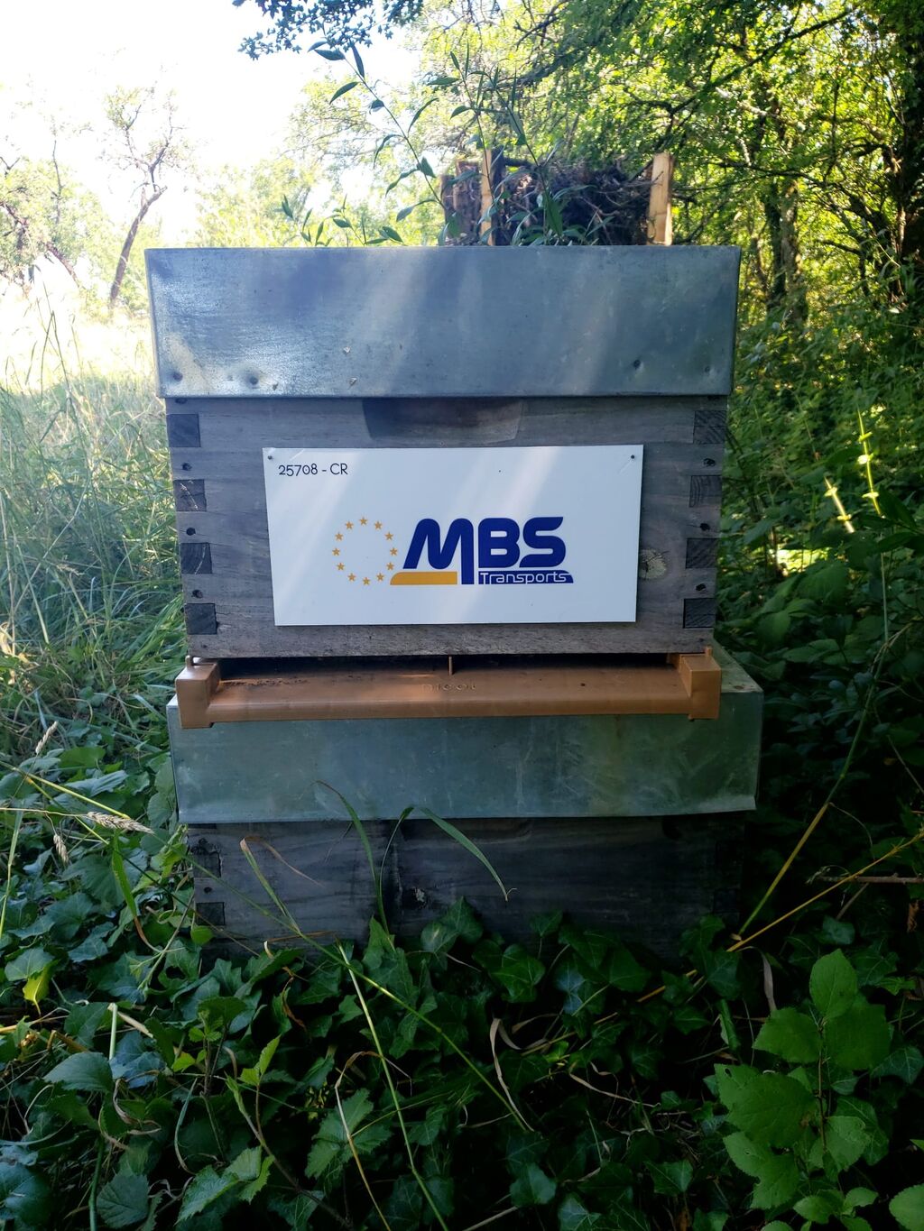 La ruche MONNIER BORSU SOTRADEL
